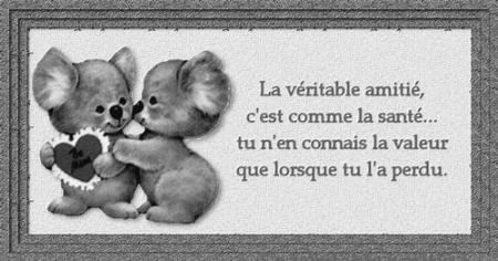 pour mon meilleur ami